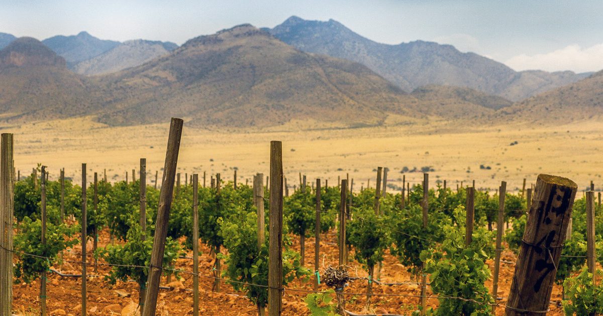 Sonoita Vineyards Visit Arizona