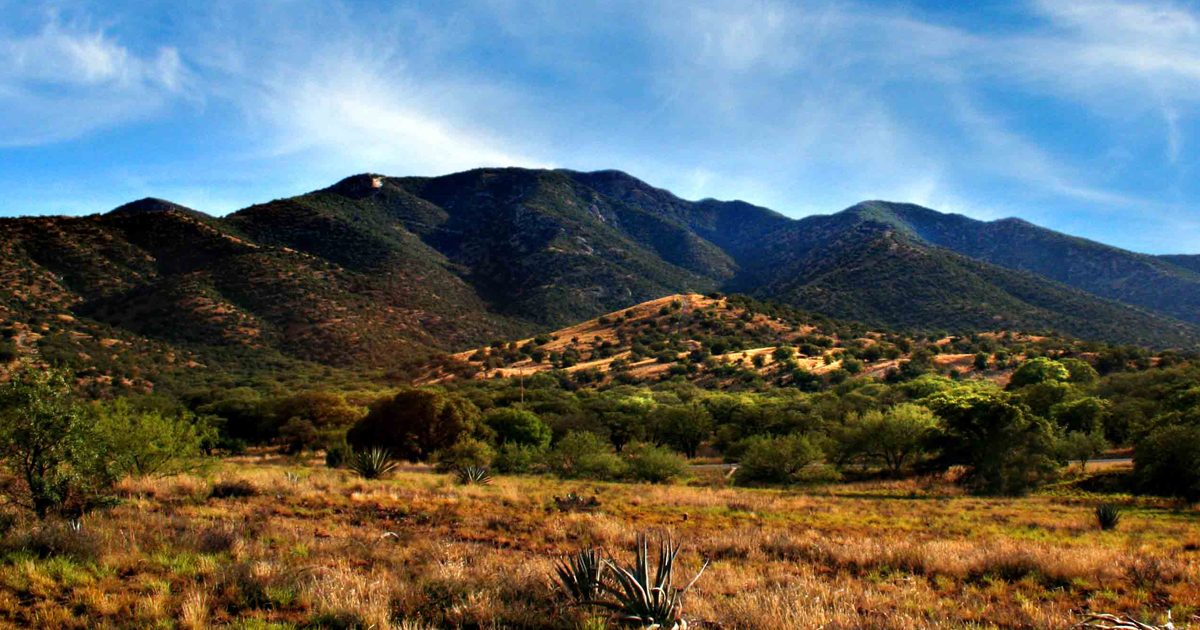 City of Sierra Vista | Visit Arizona