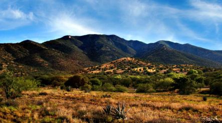 City of Sierra Vista