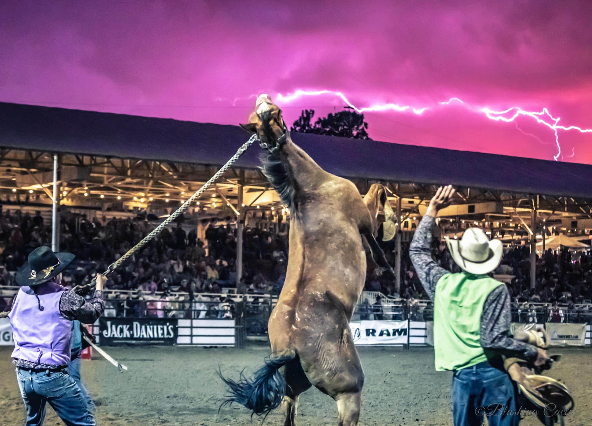 Prescott Frontier Days® World's Oldest Rodeo® Visit Arizona