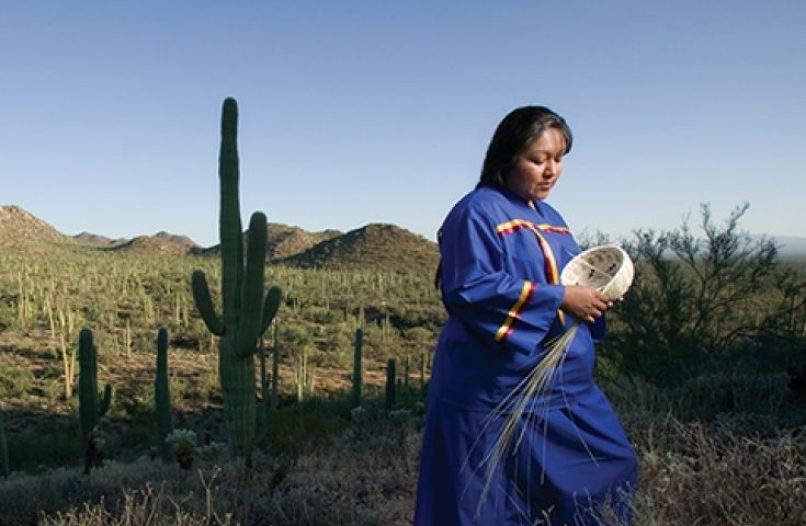 American Indian Tribal Lands