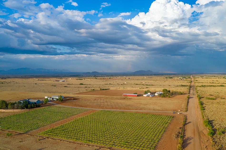 winery background