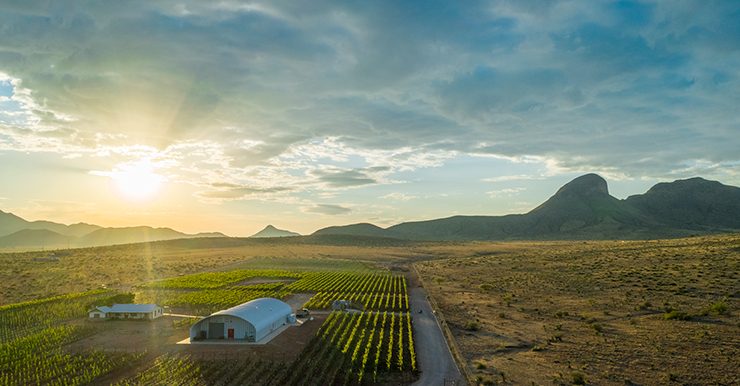 Sonoita Elgin Wine Tasting Los Milics Vineyards | Visit Arizona