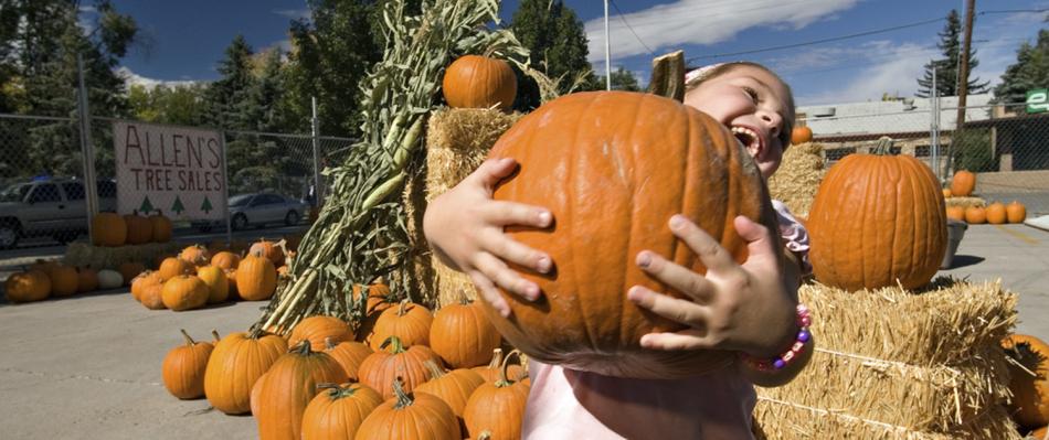 A young girl laughs as she picks up a large pumpkin, almost as big as herself.