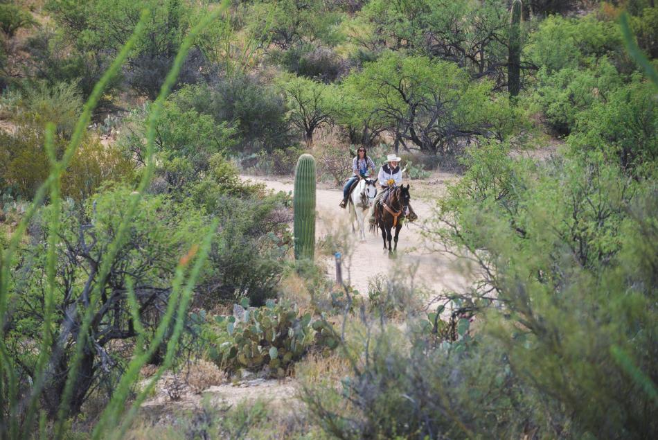 Home-Cooked, Ranch-Style Cowboy Dinners | Visit Arizona