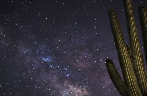 Arizona’s Starry Nights