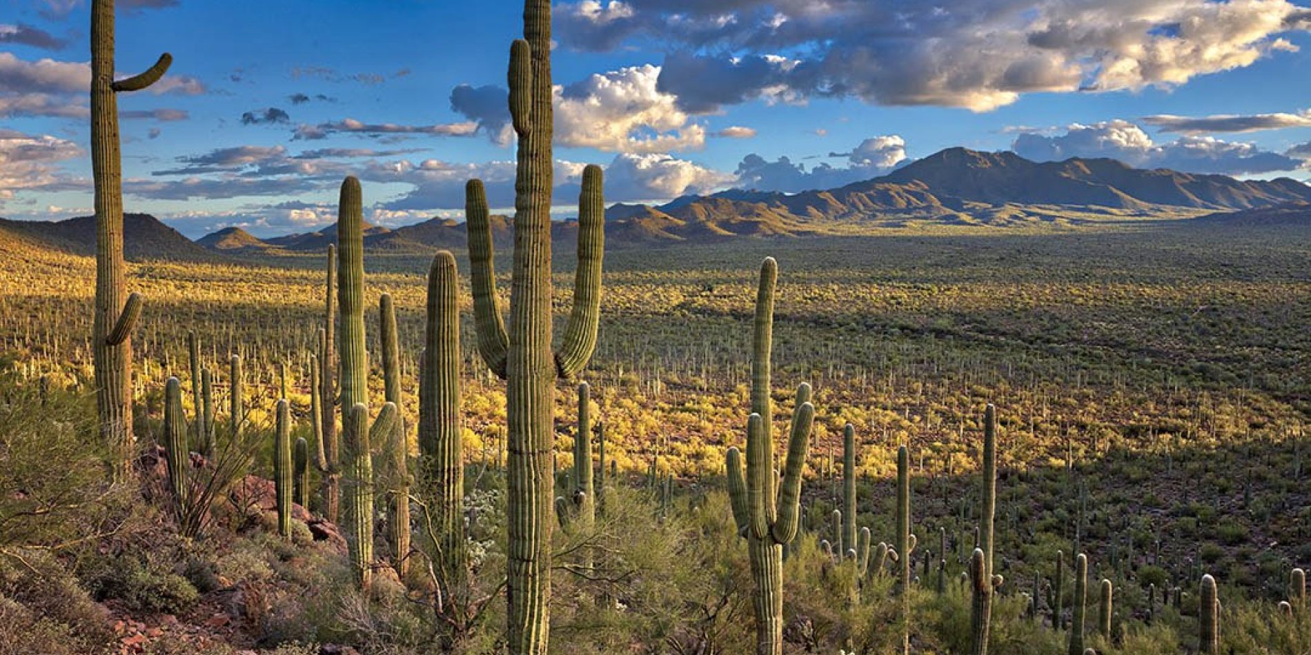 Une Nature À Préserver. Ne Laissez Aucune Trace En Arizona. | Visit Arizona