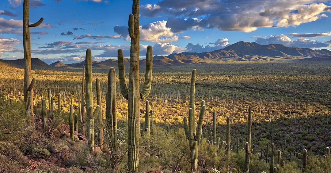 New to Nature? Leave No Trace in Arizona | Visit Arizona