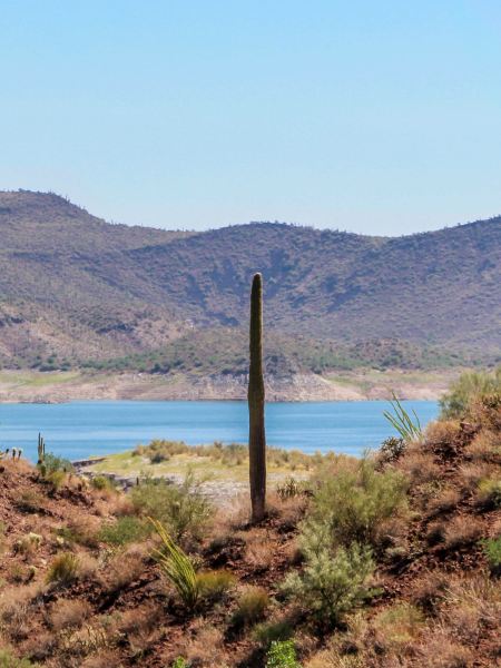 Lake Pleasant Regional Park