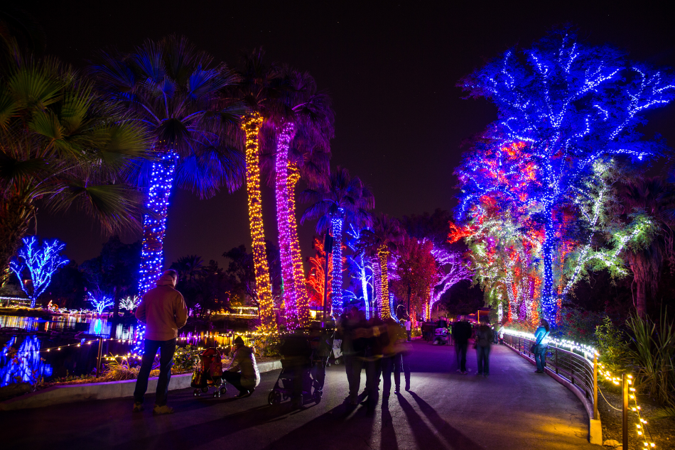 Holiday Events in Phoenix  ZooLights & Glendale Glitters