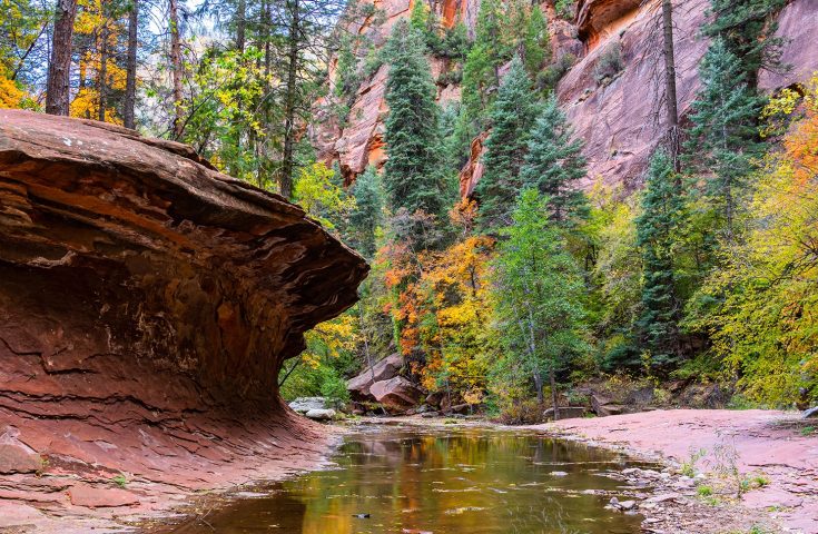 West Fork of Oak Creek