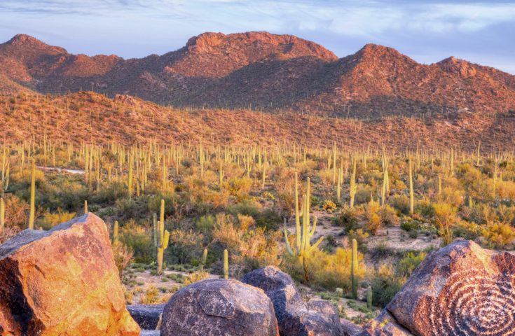 Sabino Canyon Visit Arizona   Cpebdgynftnhaigpec7f 9947086bb691814808dadcb5213cf411 