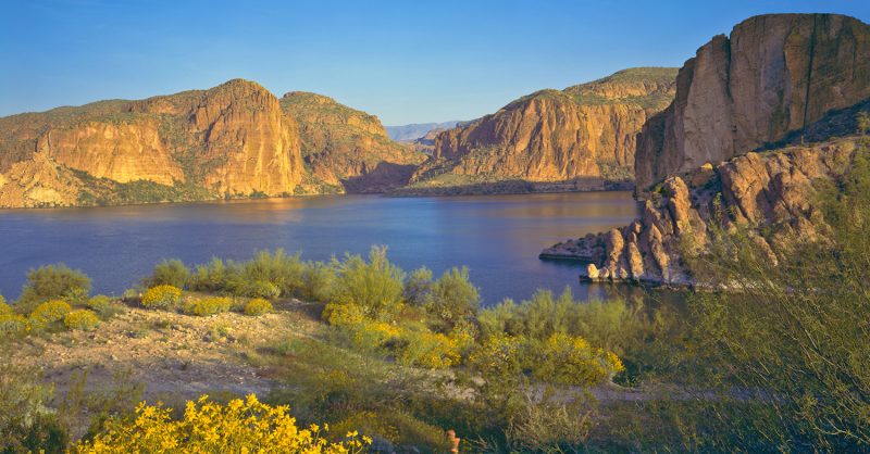 are dogs allowed at canyon lake az